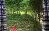 Туры в отель Searine Samui Boutique Resort