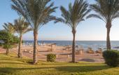Туры в отель Serenity Alpha Beach