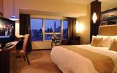 Туры в отель Shanghai Purple Mountain