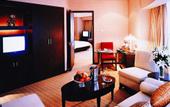 Туры в отель Shanghai Purple Mountain