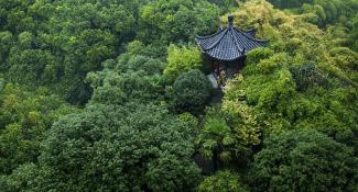 Shangri-La Hotel Hangzhou 5*