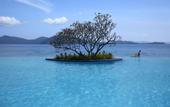 Туры в отель Shangri-La's Tanjung Aru Resort