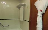 Туры в отель Swiss-Belhotel Sharjah