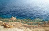Туры в отель Sharm Plaza