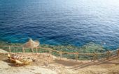 Туры в отель Sharm Plaza