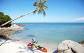 Туры в отель Shasa Resort & Residences
