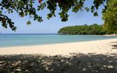 Туры в отель Shaw Park Beach Hotel & Suites