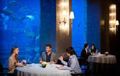 Туры в отель Atlantis The Palm