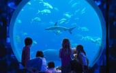 Туры в отель Atlantis The Palm