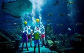 Туры в отель Atlantis The Palm