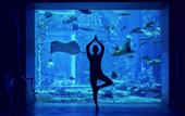 Туры в отель Atlantis The Palm