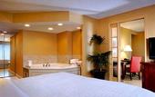 Туры в отель Sheraton Centre Toronto