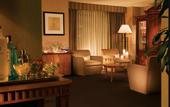 Туры в отель Sheraton Chicago Hotel and Towers