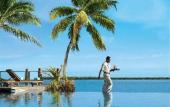 Туры в отель Sheraton Denarau Villas