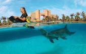 Туры в отель Atlantis Paradise Island Resort - Coral Tower