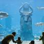 Туры в отель Atlantis Paradise Island Resort - Coral Tower, оператор Anex Tour