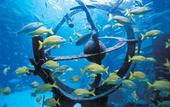Туры в отель Atlantis Paradise Island Resort - Royal Tower