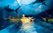 Туры в отель Atlantis Paradise Island Resort - Royal Tower