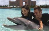 Туры в отель Atlantis Paradise Island Resort - Royal Tower