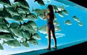 Туры в отель Atlantis Paradise Island Resort - Royal Tower