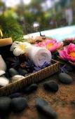 Туры в отель Sheraton Mirage Resort & Spa Gold Coast