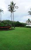 Туры в отель Sheraton Mirage Resort & Spa Gold Coast