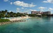 Туры в отель Atlantis Resort Paradise - The Cove Atlantis
