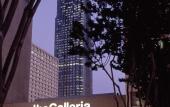 Туры в отель Sheraton Suites Houston Near The Galleria