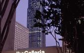 Туры в отель Sheraton Suites Houston Near The Galleria