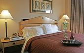Туры в отель Sheraton Suites Houston Near The Galleria