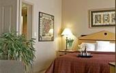 Туры в отель Sheraton Suites Houston Near The Galleria