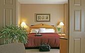 Туры в отель Sheraton Suites Houston Near The Galleria