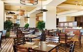 Туры в отель Sheraton Waikiki