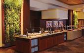 Туры в отель Sheraton Waikiki