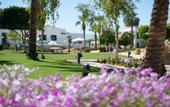 Туры в отель Amphoras Beach