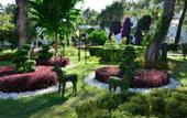 Туры в отель Emelda Sun Club