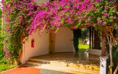Туры в отель Emelda Sun Club