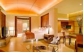 Туры в отель Singapore Marriott Tang Plaza Hotel