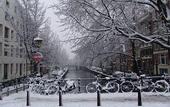 Туры в отель Singel
