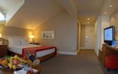 Туры в отель Ski Lodge Dedeman