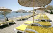 Туры в отель Sofabed Hotel