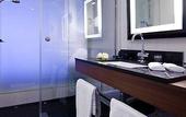 Туры в отель Sofitel Brussels Europe
