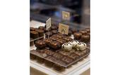 Туры в отель Sofitel Brussels Europe