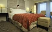 Туры в отель Sofitel Brussels Europe
