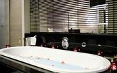Туры в отель Sofitel Brussels Europe
