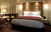 Туры в отель Sofitel Budapest Chain Bridge