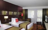 Туры в отель Mercure Cairo Le Sphinx