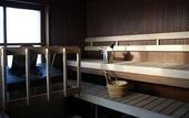 Туры в отель Original Sokos Hotel Vaakuna Rovaniemi