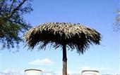 Туры в отель Sol Papagayo Resort