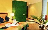 Туры в отель Sol Papagayo Resort
